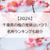 【2026】千葉県の梅の見頃はいつ？名所ランキングも紹介