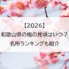 【2026】和歌山県の梅の見頃はいつ？名所ランキングも紹介