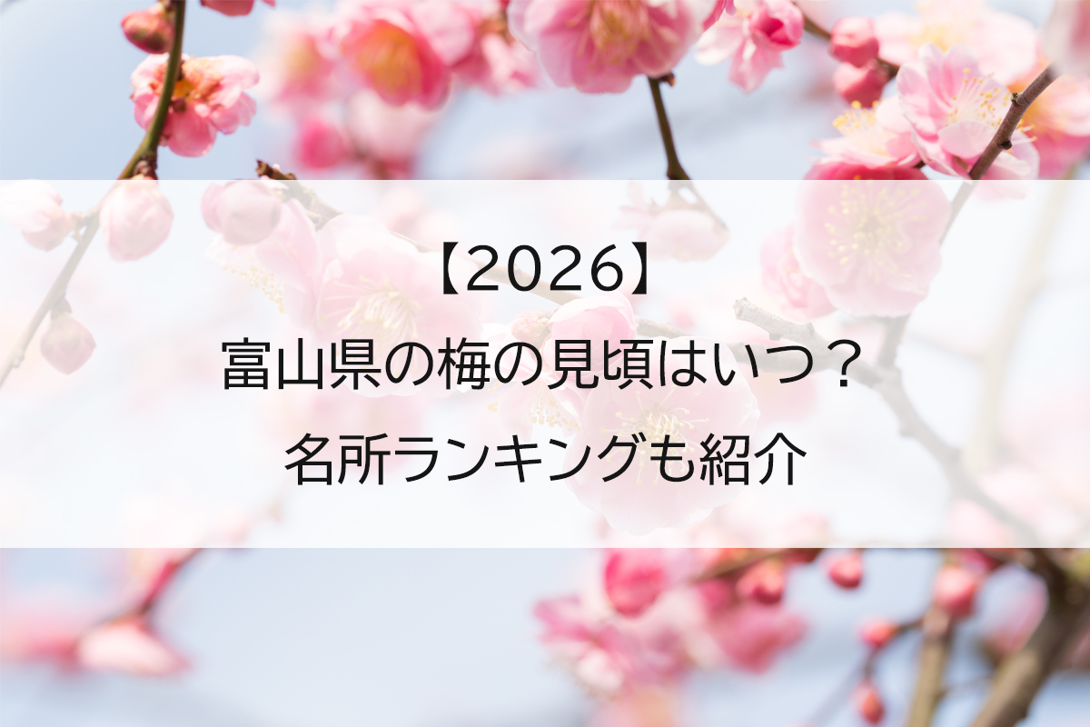 【2026】富山県の梅の見頃はいつ？名所ランキングも紹介