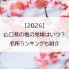 【2026】山口県の梅の見頃はいつ？名所ランキングも紹介