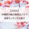 【2026】沖縄県の梅の見頃はいつ？名所ランキングも紹介