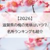 【2026】滋賀県の梅の見頃はいつ？名所ランキングも紹介