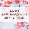 【2026】福井県の梅の見頃はいつ？名所ランキングも紹介