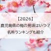 【2026】鹿児島県の梅の見頃はいつ？名所ランキングも紹介