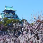 大阪城公園の梅（大阪城と梅）