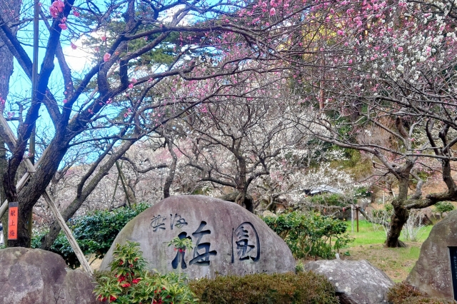 熱海梅園