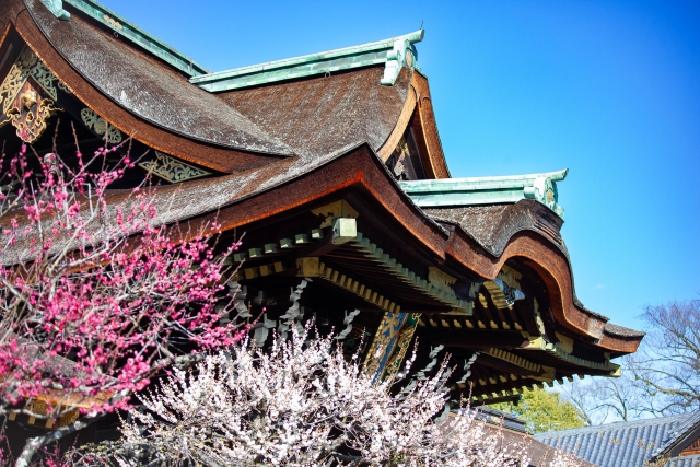 北野天満宮の梅