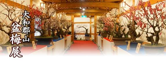 大和郡山「盆梅展」